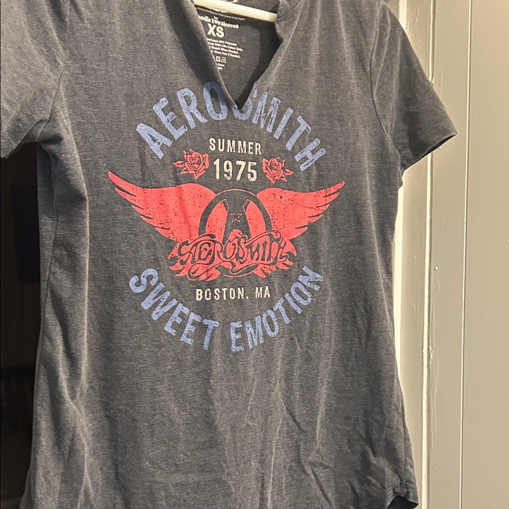Aerosmith Graphic Tee in Gray and Red